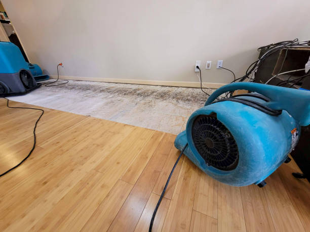 Professional Emergency Water Damage technician working in Eldorado, OH